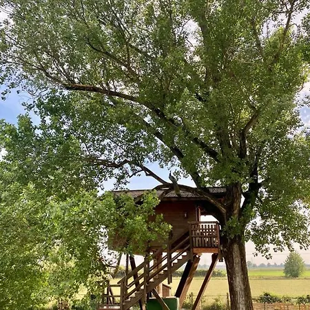 Casa vacanze La Casa Sull'albero Oasi Certosa Di Pavia *