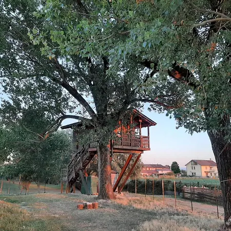 La Casa Sull'albero Oasi Certosa Di Pavia Casa vacanze Borgarello