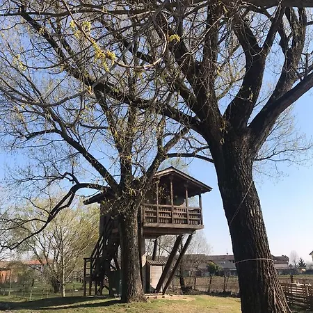 Casa vacanze La Casa Sull'albero Oasi Certosa Di Pavia