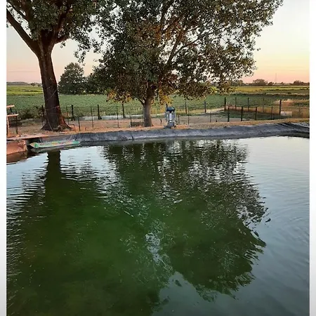 Casa vacanze La Casa Sull'albero Oasi Certosa Di Pavia *