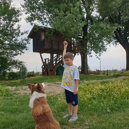 La Casa Sull'albero Oasi Certosa Di Pavia Borgarello